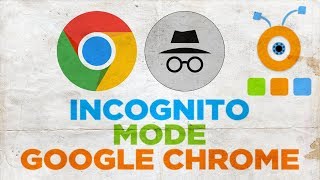 How to Use Incognito Mode on Google Chrome  Enable Incognito Mode in Google Chrome [upl. by Remmos471]