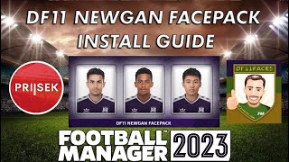 DF11 NEWGAN FACEPACK INSTALL GUIDE from The Skin Clinic FM23 [upl. by Keemahs]