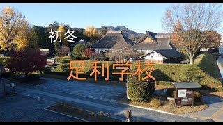 足利学校 鑁阿寺 20241204 [upl. by Josephson729]