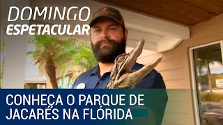 Conheça o parque de jacarés na Flórida [upl. by Dnama78]