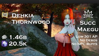 BDO  Dehkia Thornwood 205k L2  Succession Maegu 301 AP [upl. by Hebert]