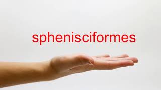 How to Pronounce sphenisciformes  American English [upl. by Ardnola]