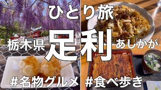 【ひとり旅】栃木県足利市・食べ歩き＆足利市内を散策！足利名物グルメを満喫・織姫神社・鑁阿寺を観光した日帰り旅 [upl. by Lira]