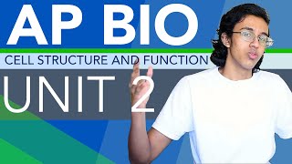 AP Biology Unit 2 Review Cell Structure and Function [upl. by Ita286]