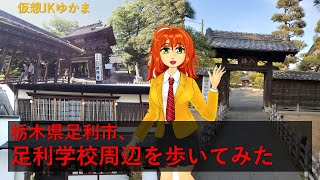 足利学校から鑁阿寺に向けてのお散歩。 [upl. by Ltihcox]