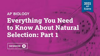 2021 Live Review 6  AP Biology  Everything You Need to Know About Natural Selection Part 1 [upl. by Hogen]