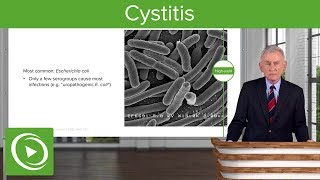 Cystitis Definition Causes and Epidemiology – Infectious Diseases  Lecturio [upl. by Blader]