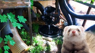 DIY  OUTDOOR FERRET ENCLOSURE [upl. by Pammi]