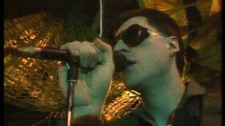 Front 242  No Shuffle Live 1985 [upl. by Remle]