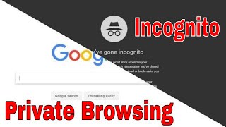 How to do private or incognito browsing in Chrome [upl. by Vasyuta128]