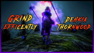 BDO Updated Dehkia How to Efficiently Grind Thornwood Forest [upl. by Wj]