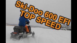 Ski Doo Expedition Sport 600 EFI Top Speed Test [upl. by Eichman]