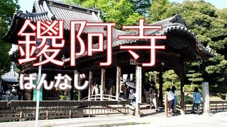 足利 「鑁阿寺（ばんなじ）」 [upl. by Eibbob650]