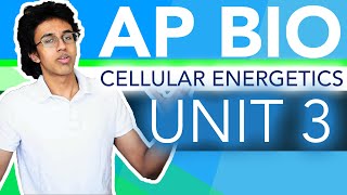 AP Biology Unit 3 Crash Course Cellular Energetics [upl. by Linda524]