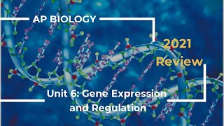 AP Biology Unit 6 Review 2020 [upl. by Ritch165]