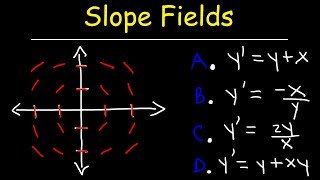 Slope Fields  Calculus [upl. by Ariaet]