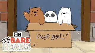 We Bare Bears  Potty Time Hindi  Minisode  Cartoon Network [upl. by Ivers]