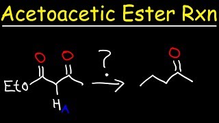 Acetoacetic Ester Synthesis Reaction Mechanism [upl. by Nai]