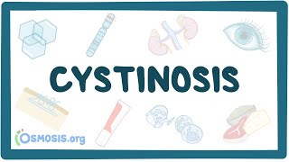 Cystinosis  causes symptoms diagnosis treatment pathology [upl. by Kotz]