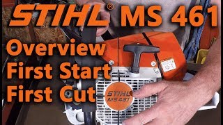 Stihl MS 461 OverviewFirst StartFirst Cut [upl. by Pfeffer29]