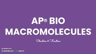 AP Bio Macromolecules [upl. by Brooking549]