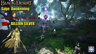 BDO  Sage Awakening ⚡ 1 MILLION TRASH at Thornwood Forest  PvE Combo Addons [upl. by Eimmat]