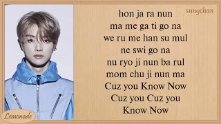 NCT U  Know Now Easy Lyrics [upl. by Kcirdes]