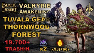 BDO  Most Underrated Spot in Game  Season  Tuvala Gear  Thornwood Forest  19700 H Lv2 [upl. by Ylra916]