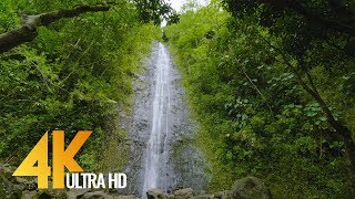 Gorgeous Waterfalls in 4K 60fps 2160p  Soothing Nature Video for RelaxationOahu Waterfalls 5 HRS [upl. by Ingmar187]