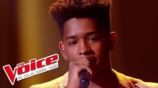 Lisandro Cuxi  « LEnvie daimer » Les 10 Commandements  The Voice 2017  Live [upl. by Hadlee963]