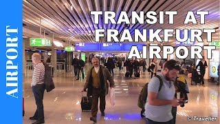 TRANSIT WALK AT FRANKFURT Airport FRA Terminal 1  Connection Flight Transfer Arriving amp Departing [upl. by Coral]