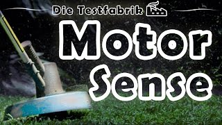 🏡 Motorsense Test – 🏆 Top 3 Motorsense im Test [upl. by Regni]